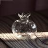 Red Hydroponic Flower Vase Pomegranate Fruit Vase Creative Pomegranate Glass Vase  Desktop