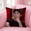 American Actor D-Dylan O Brien Pillow Case Anti-Dustmite Pillow Invisible Zipper Silky Short Plush Sofa Cushion Cover