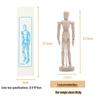 12-inch and 10-inch Jointed Wooden Mannequin Doll for Art and Painting
