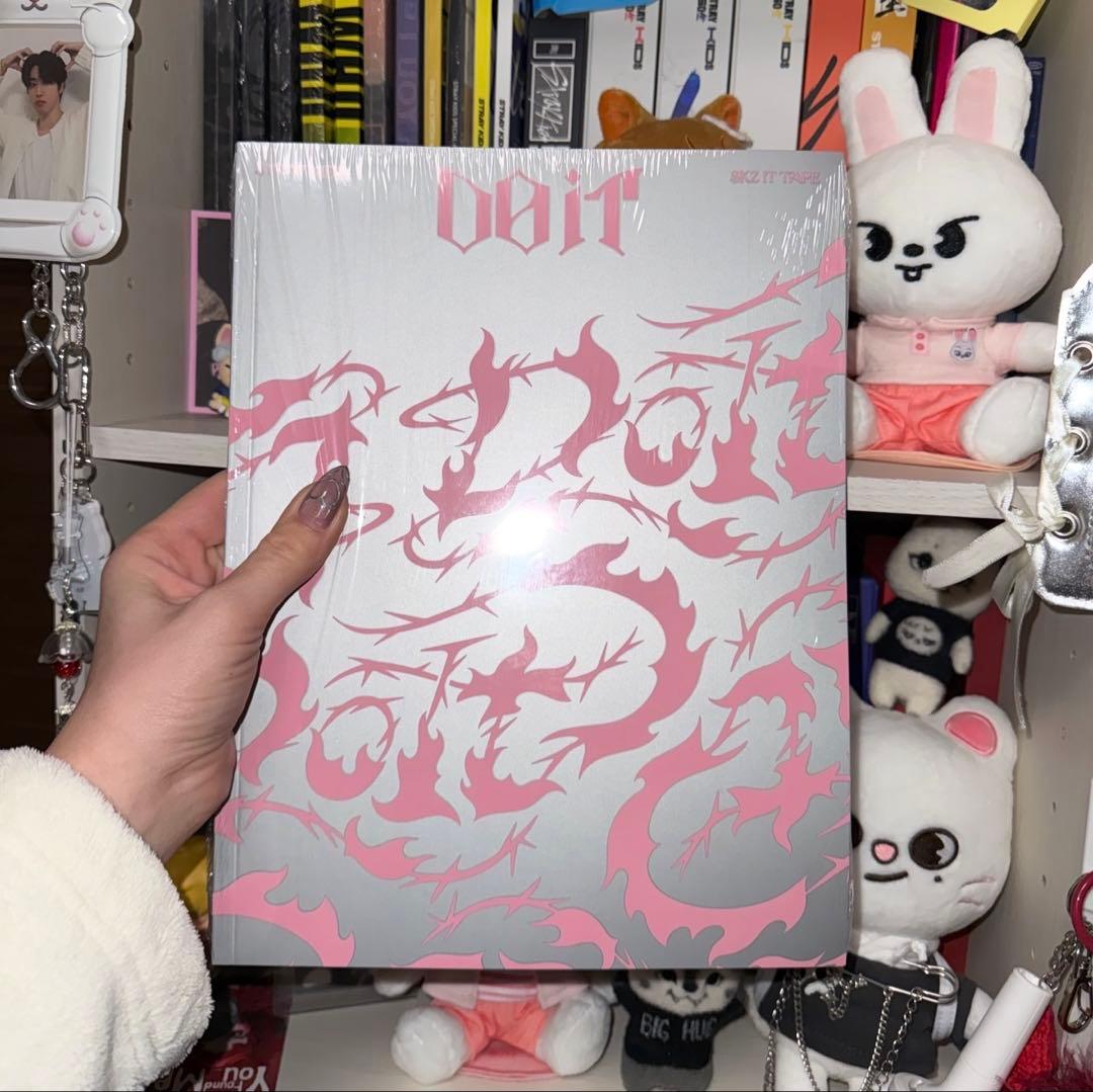 

[USED] Stray Kids DO IT Regular Edition IT ver CD Album