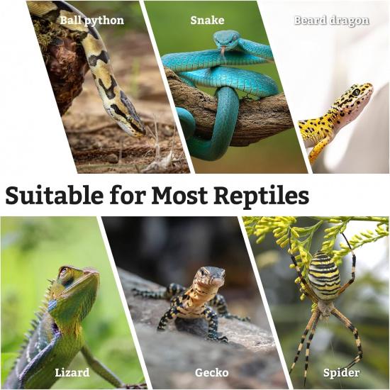 VCEPJH Snake Climbing Branch, 2Pcs Reptile Wood Natural Cork Log Tank Accessories Tree Trunk for Chameleon Bearded Dragon Gecko Snake Frog Spider