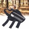 Hind Leg Support Dog Hind Leg Brace Joint Stabilizing Pet Recovery Brace  Daily Mobility Support