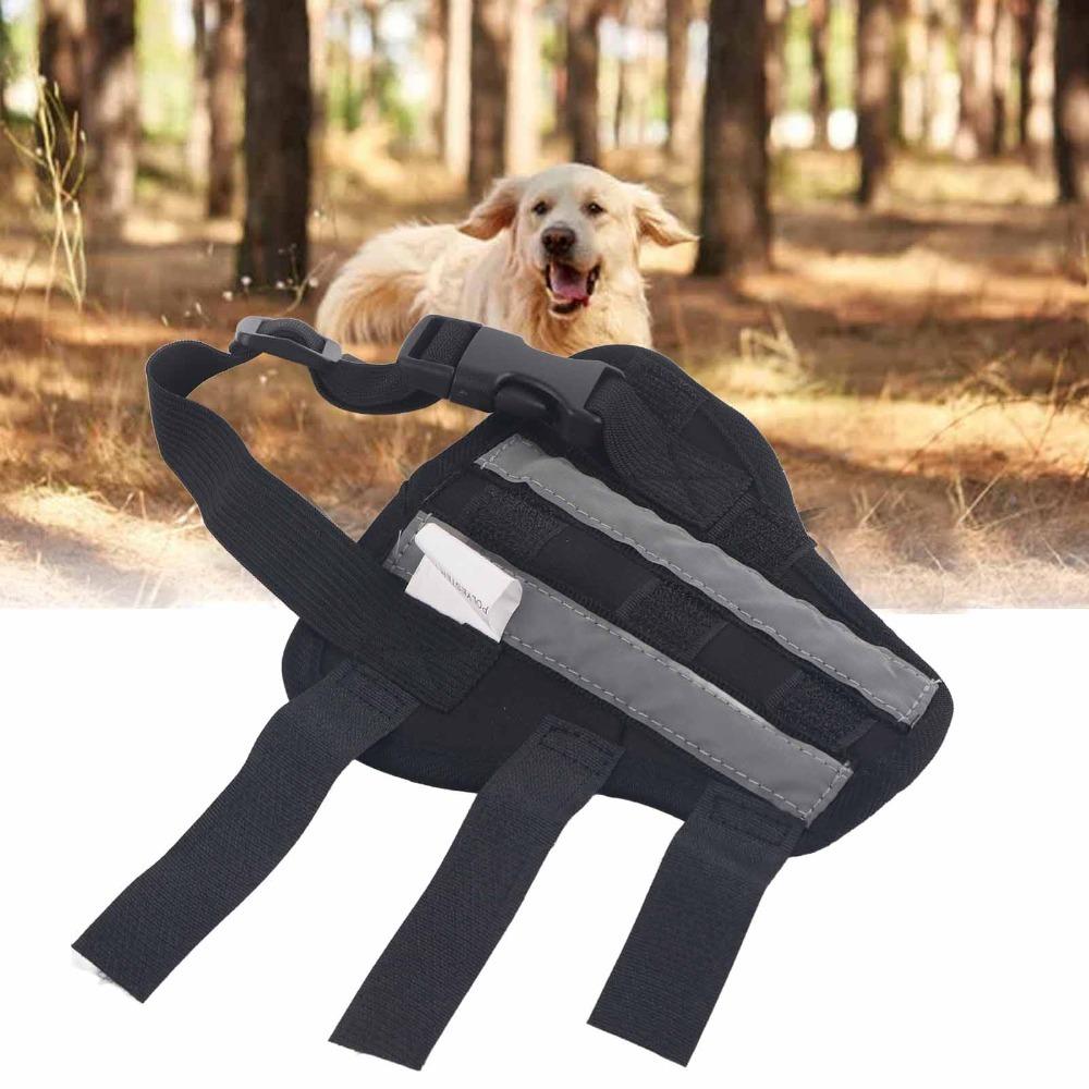 Hind Leg Support Dog Hind Leg Brace Joint Stabilizing Pet Recovery Brace  Daily Mobility Support