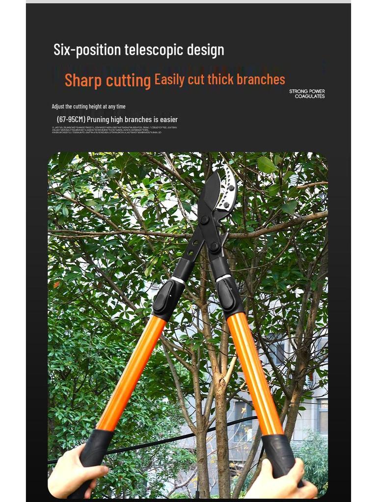 Heavy Duty Extendable Pruning Shears - SK5 Coarse Branch & Fruit Tree Pruner for Landscaping & Gardening