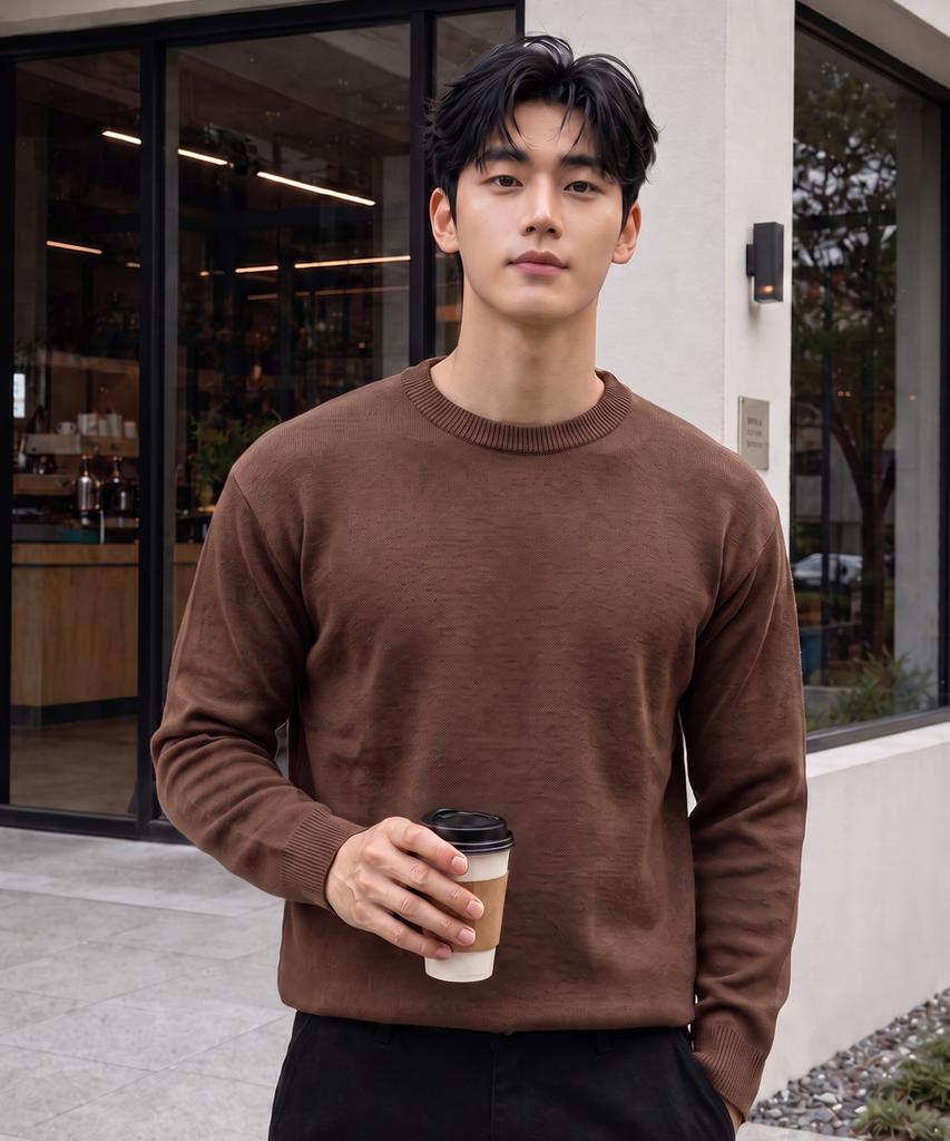 HERVINO Daily Crewneck Knit Sweater [Brown]