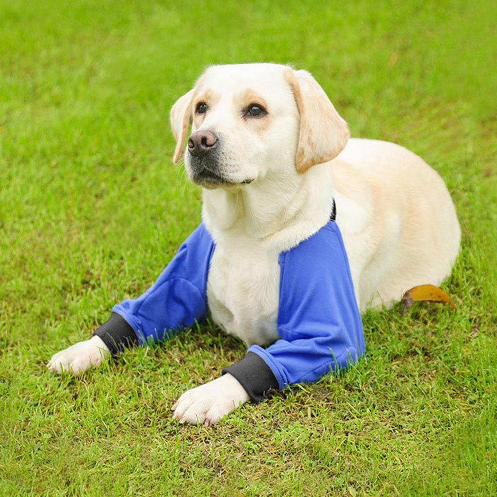 Dog Surgery Recovery Sleeve Dog Elbow Bracer Padded Support Wound Elbow Bracer Pet Joint Knee Care Protector Pet Supply