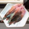 Colorful Rooster Feather Soft Fluffy Plumes Handmade Cock Feather  For Costume Decoration