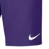 Nike Park III Shorts, Mens Purple Shorts
