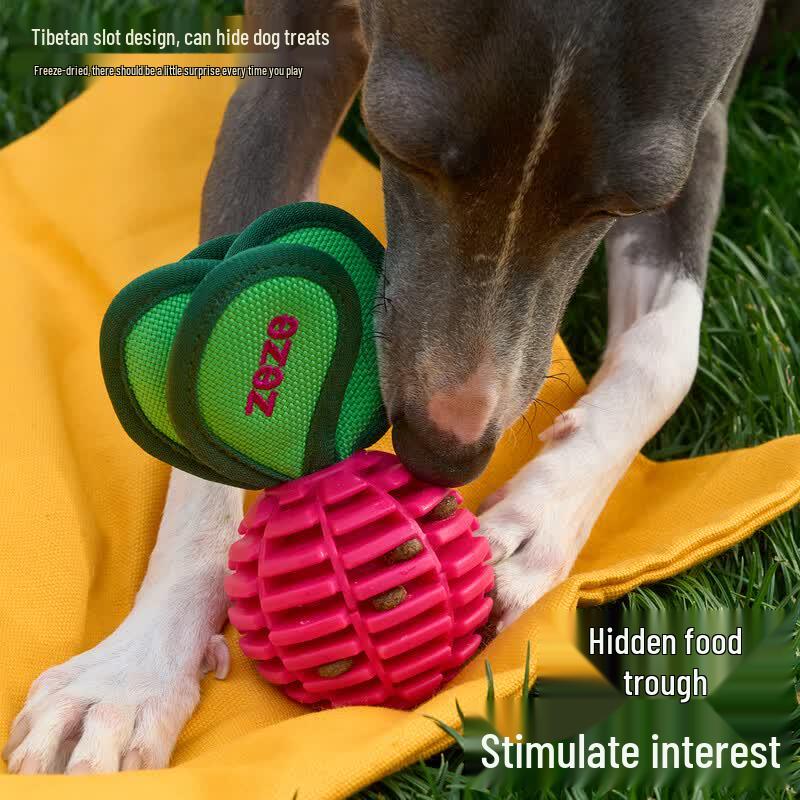 ZEZE Interactive Dog Chew Ball Toy