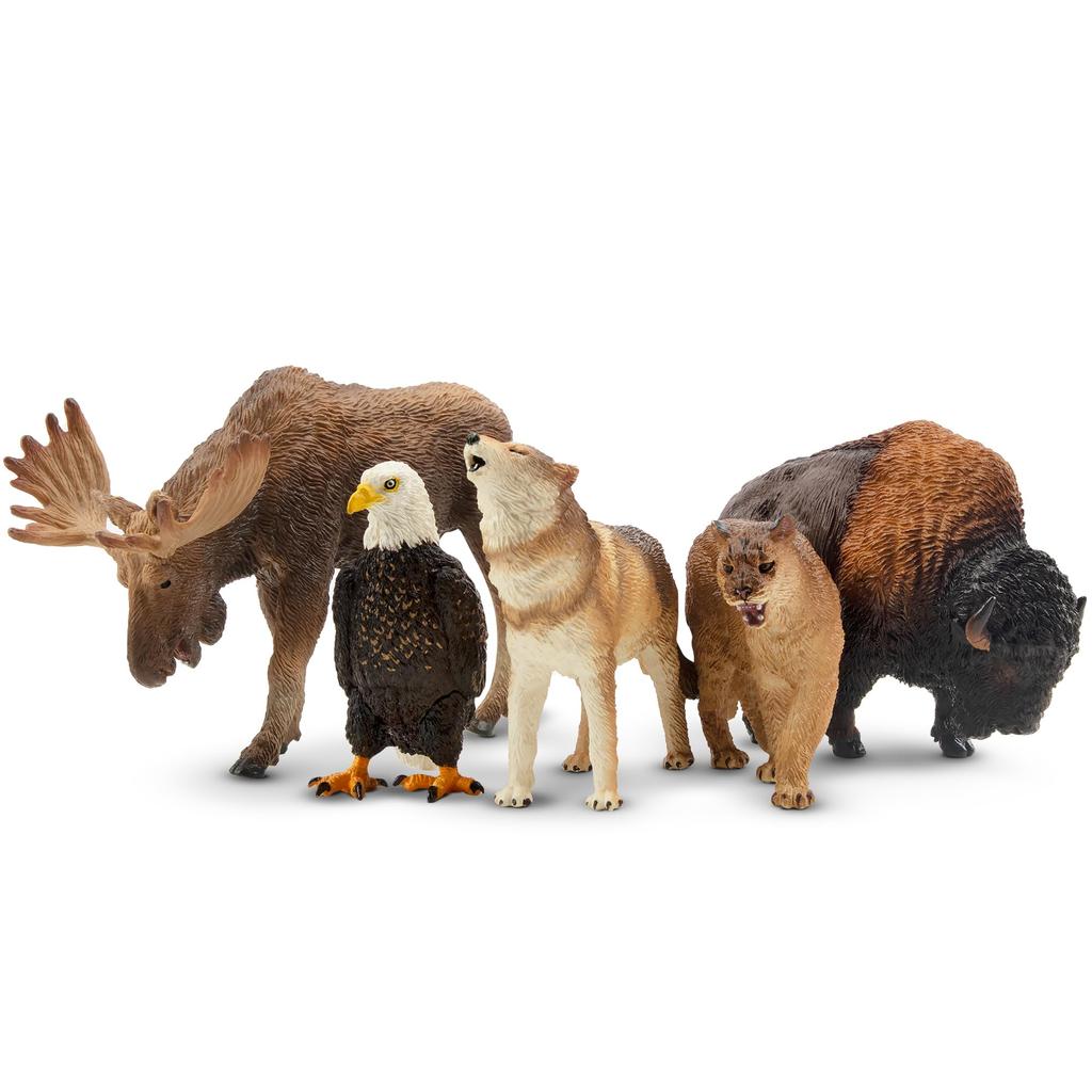 TOYMANY North American Forest Animals Figure Set, 12 Pcs (Hand-Painted, Educational & Display)