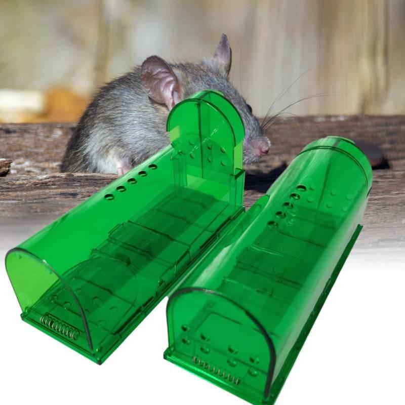 High Quality Plastic Mouse Trap Cage For Effective Rodent Control And Pest Management