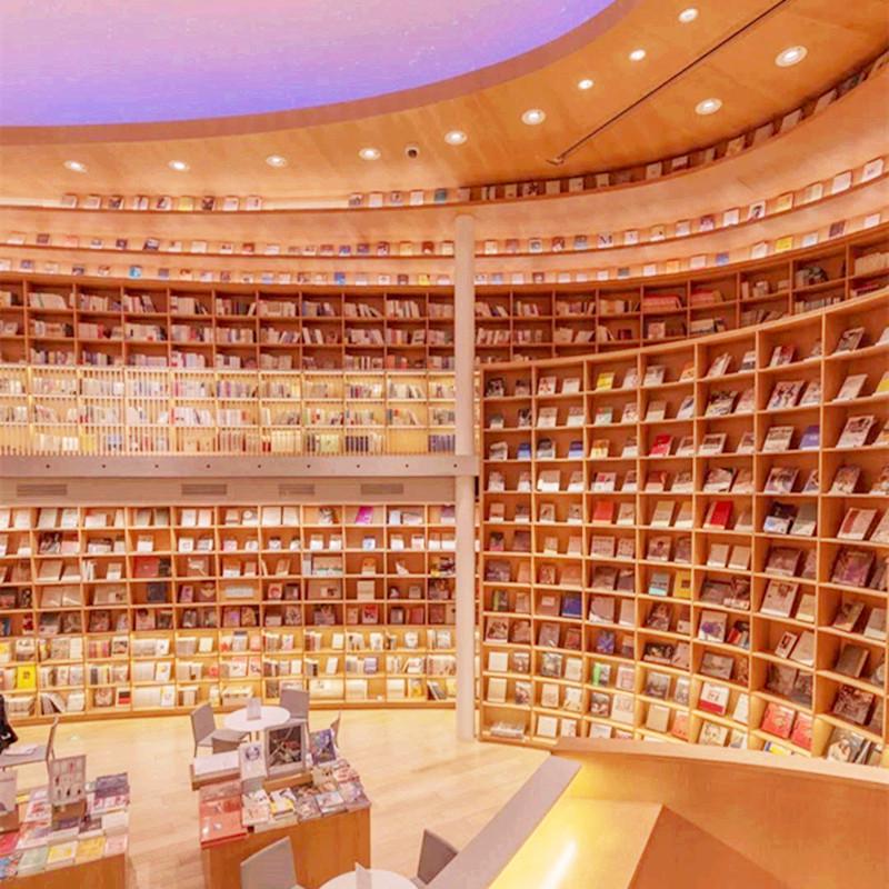 Acrylic Bookends and Stand for Books, Booklets, Records, and Displays