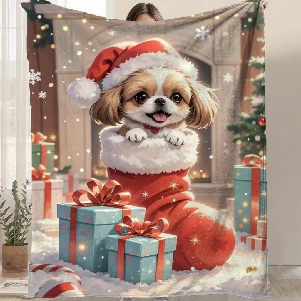 Cartoon Santa Claus Printed Blanket for Sofa Bed Travel Camping Living Room Office Conditioning Blanket for All Seasons Gifts