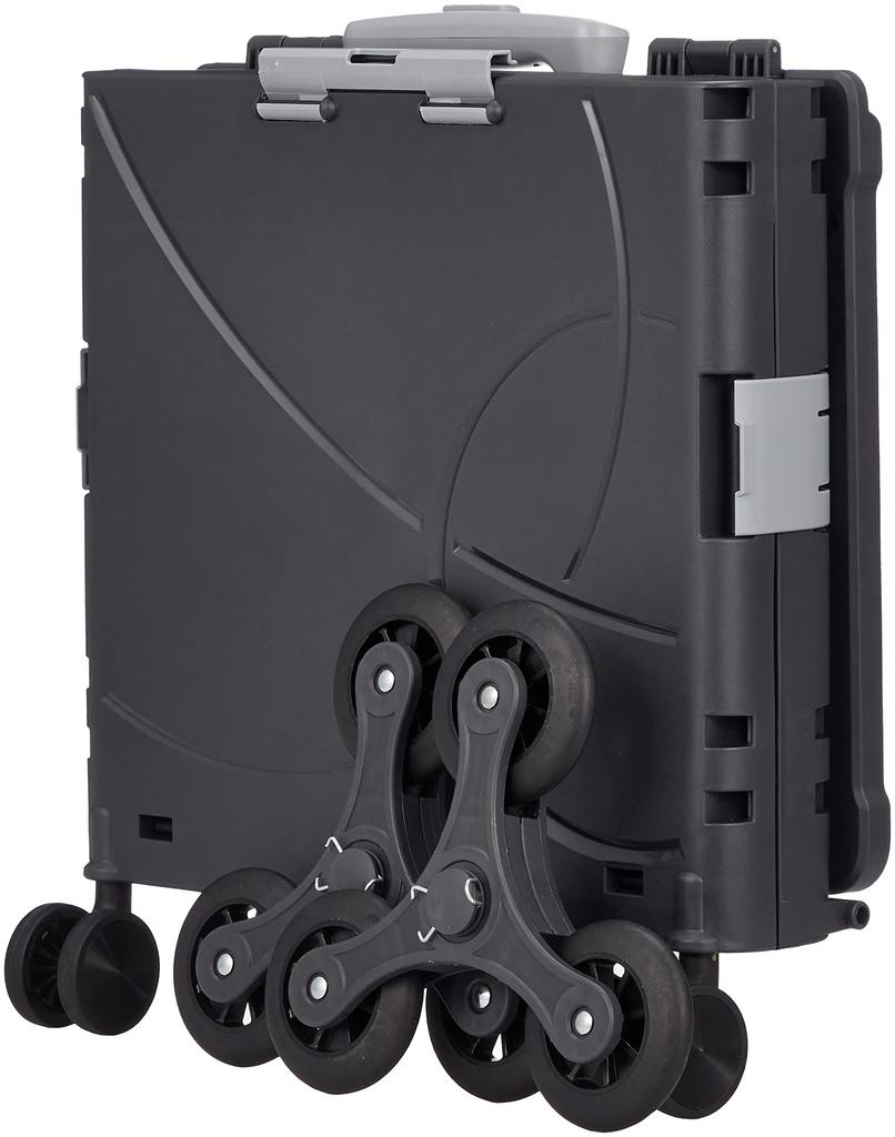 Kompaktní přepravní pouzdro Ranger 36L