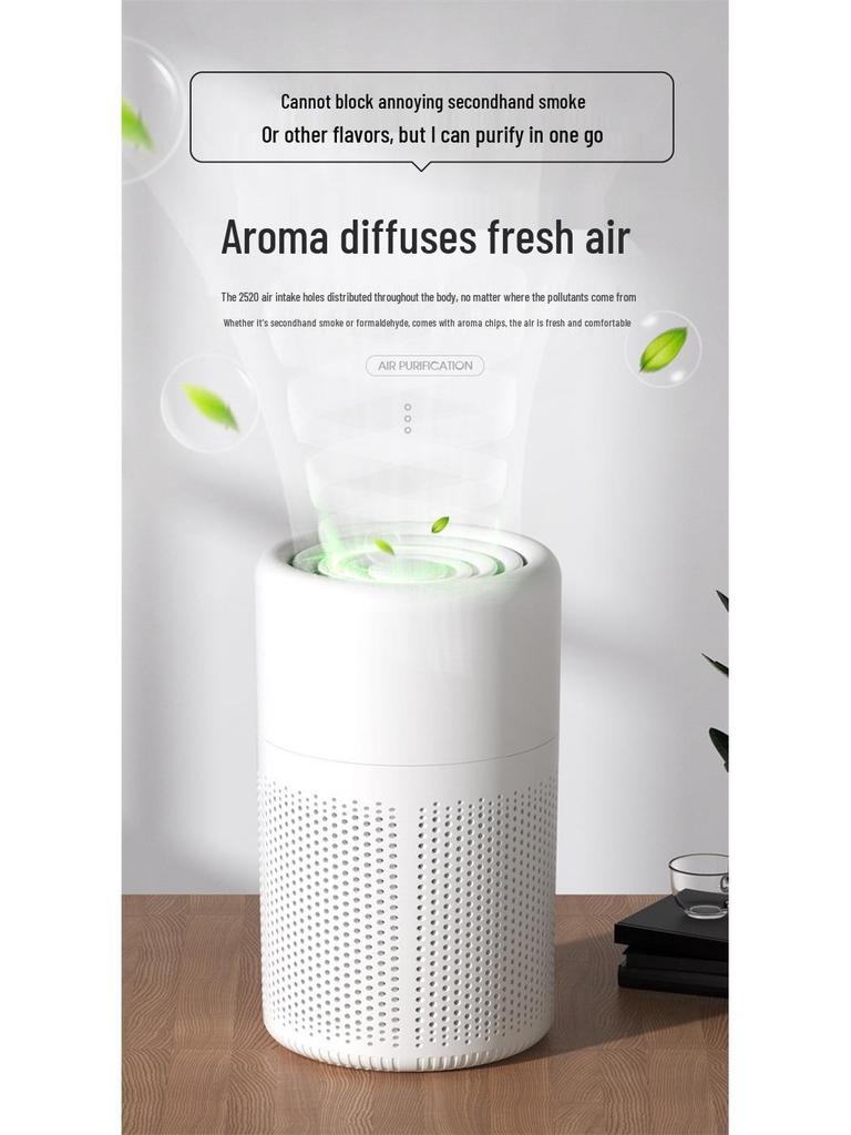 Custom Air Purifier for Home & Car: Formaldehyde Removal & Negative Ion Technology