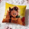 Popular AALFer Cushion Cover Soft Washable Pillow Case Multi-Scene for Couch Bed Travel Office Use