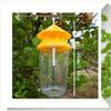 Fruit Fly Trapper with Natural Attractant No  Hanging Fly Catcher for Kitchen Farm Orchard Garden Pest Control
