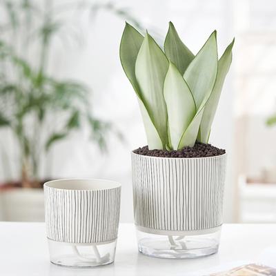 Flowerpot with Drainage Holes Water Filling Port Automatic Self-Watering Hydroponic Flowerpot Transparent Base Plant Pot Home Office Decor