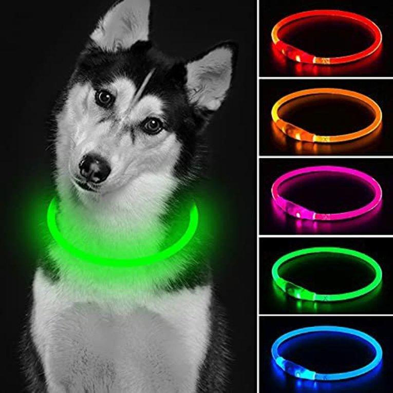 dog collar blinking lights