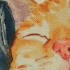 Cute Cat Cushion Cover Pet Animal Print Pillowcase  Home Decor Car Bed Pillow   45x45cm