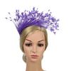 Practical Feather Hairband Hair Decors Headband For Halloween Costume Parties Stage Performances And Cosplay Event