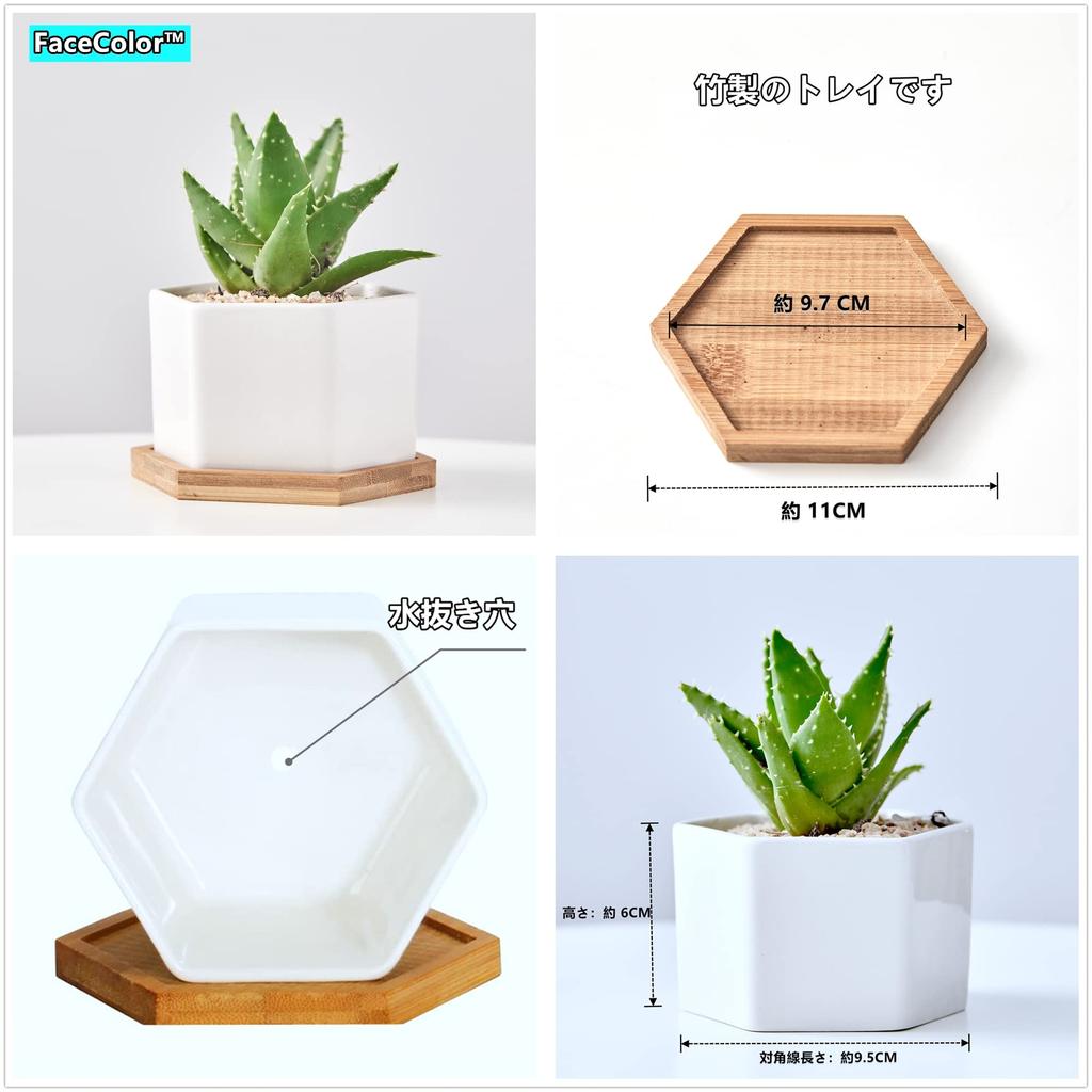 FaceColor Sukulent Ceramiczny Kaktus Sześciokątny z Podstawką Ociekową Biały Odpowiedni do Ogrodu Żywego Zestaw 4 szt. Nie Doniczka, Doniczka, Sadzarka, Doniczka, (Rozmiar 9106 CM),