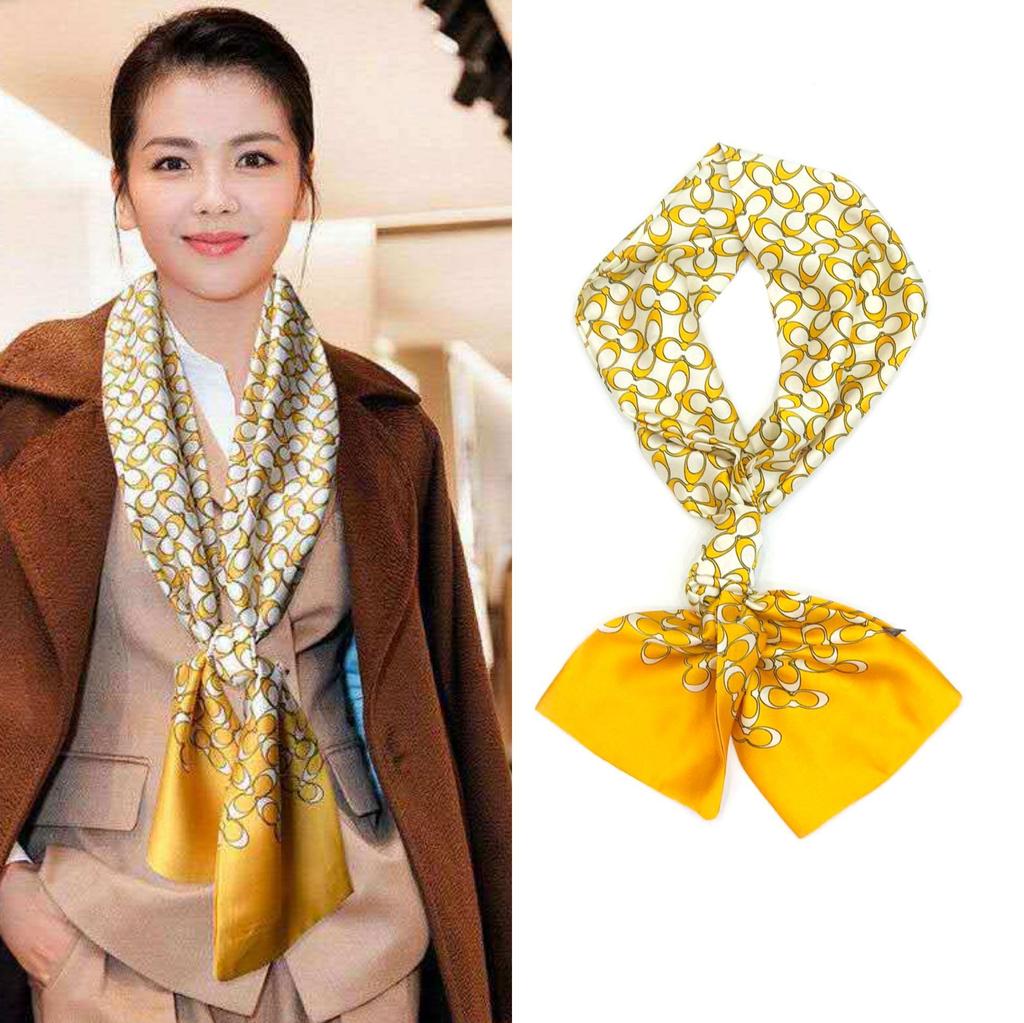 Narrow Silk Scarf, Women'S Streamer, Hair Accessories, Tied Bag, Small Scarf, Printed Headband, Silk Long Silk Scarf.