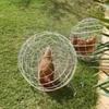 3Pieces Set Safety Spherical Pet Chicken Cage Chicken Rolling Ball Shaped Chicken Hamster Ball Cage Cut Rolling Protective Cages