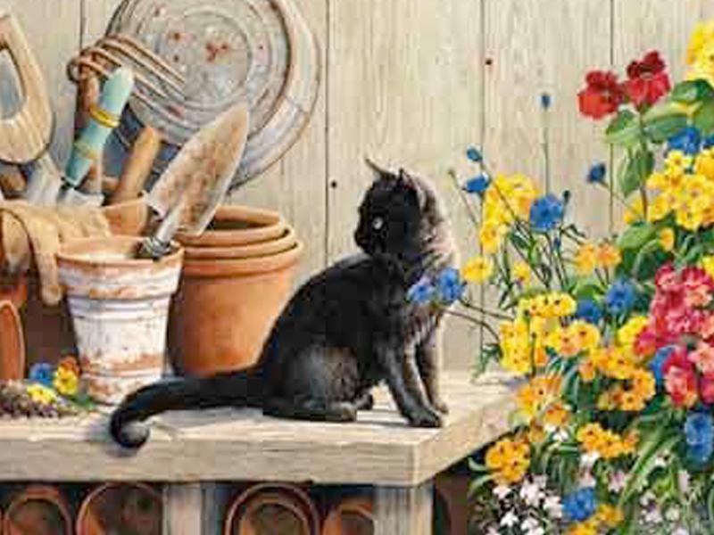 

Алмазная картина Кот Алмазная вышивка Набор для вышивки крестом Алмазные точки Картина Мозаика 15*20cm