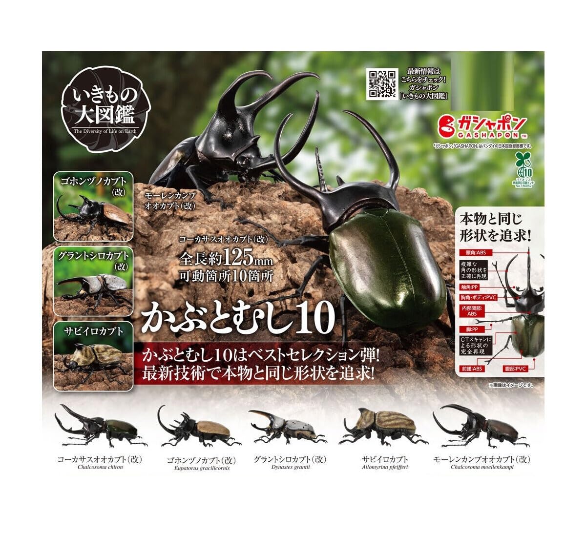Encyclopedia of Living Beetles 10 Set of 5 Gachapon Capsule Toy Things [Complete Types] (Full Set) [Unopened Capsule]