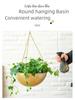 Iron Hanging Flower Pot for Hydroponic and Succulent Plants, European Garden Decoration