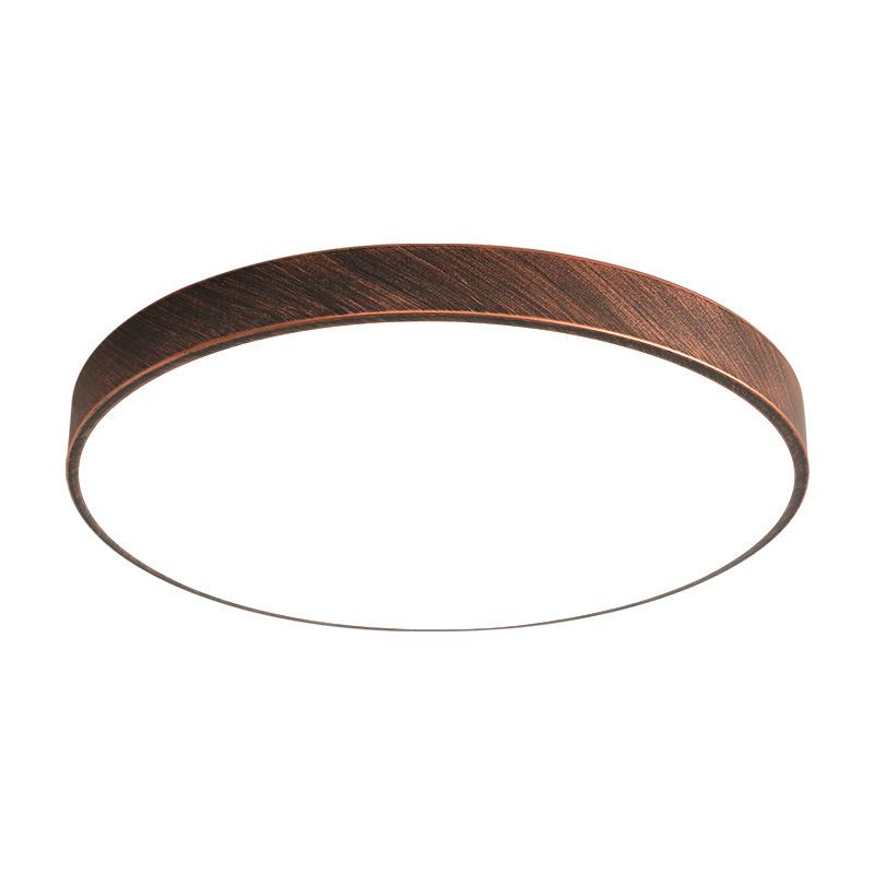 Lampada da Soffitto LED Nordica Ruggine Per Soggiorno Ingresso Camera da Letto Corridoio Balcone Ripostiglio Apparecchi di Illuminazione Interna