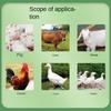 Calcium powder Pig, cow, sheep, chicken, duck and goose produce egg and milk promoting growth nutrition powd 500g
