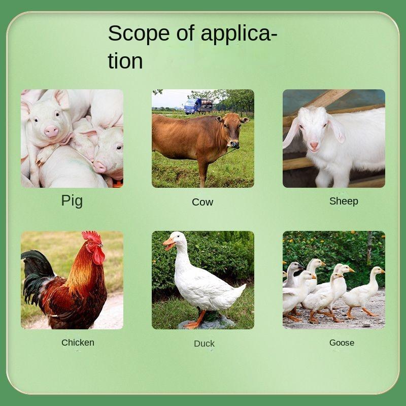 Calcium powder Pig, cow, sheep, chicken, duck and goose produce egg and milk promoting growth nutrition powd 500g