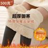 Pants for Women's Outer Wear Autumn and Winter Fleece Thickened Leggings Extra Thick High Waist Elastic Large Size Integrated Thermal Pants