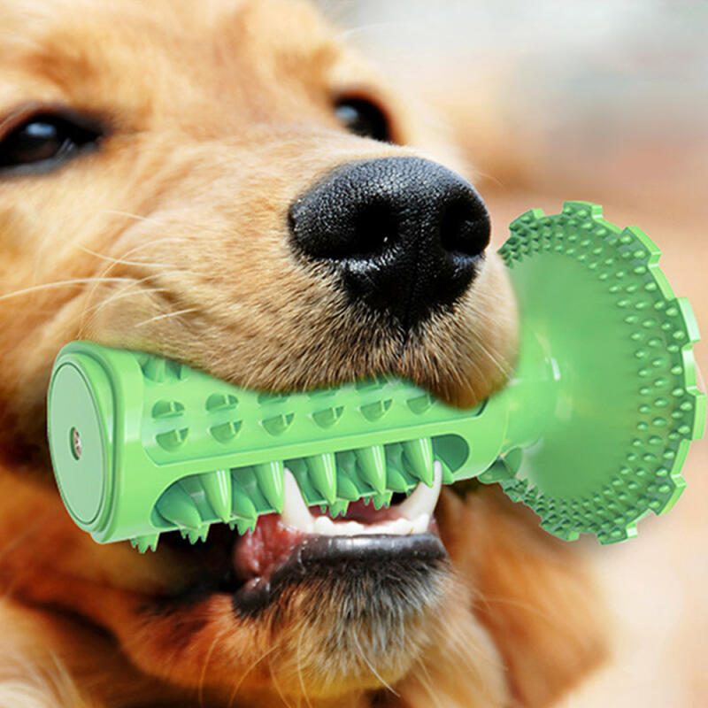 Chikatoy (Green) for Removing Tartar from Your Dog's Teeth
