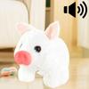 Kleines Plüschschwein Elektronisches Spielzeug mit Geh- und Sprechfunktion für Kinderspiel und Lernen