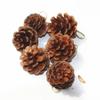 6-pack Christmas Tree Pendants Natural Primary Color Pine Cones 4-5 Cm Christmas Supplies On-site Decoration Christmas