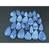 255Cts. Natural Owyhee Blue Opal Pear Cabochon Loose Gemstone 26 Pcs Lot C-3579