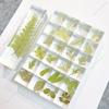 2025 5/10/20Pcs Handmade Desk Decoration DIY Eternal Flower Creative Plant 3D Specimen Squares Gift Ornament Randomly 16MM