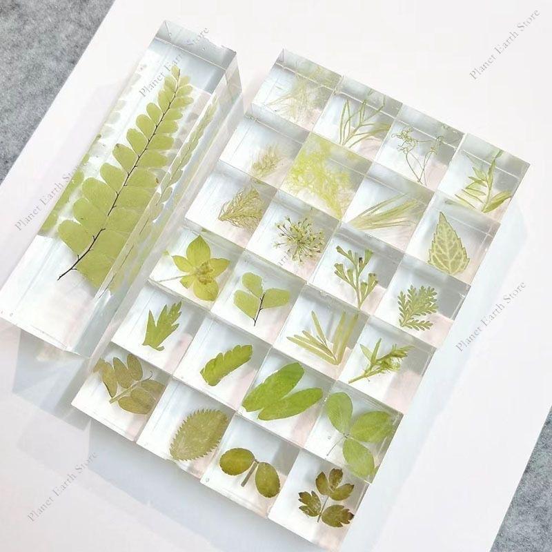 2025 5/10/20Pcs Handmade Desk Decoration DIY Eternal Flower Creative Plant 3D Specimen Squares Gift Ornament Randomly 16MM