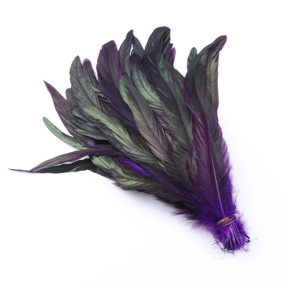 100pcs Blue Carnival Rooster Tail Feathers 25-30cm 30-35cm for Crafts Headdress Party Clothing HeadWear Decor Pheasant Plumas