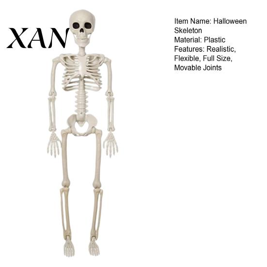 Sturdy Skeleton Figure for Garden Landscaping Halloween Decoration, 3Ft Life Size Full Body Human Bone, Realistic Posable Secret Room with Movable
