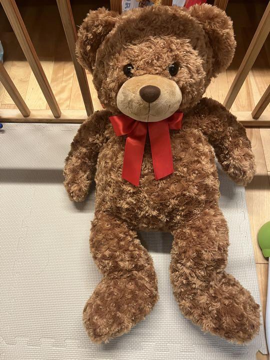 [USED] Costco Teddy Bear