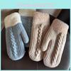 Modern Womens Knit Alpaca Wool Gloves With Fleece Lining For Winter Daily Wear