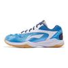 Li Ning Thunder Series Training Fabric Synthetic Leather Shock Absorbing Non-Slip Wear-Resistant Breathable Low-Top Badminton Shoes AYTS024-2