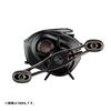 Daiwa 24STEEZ SV TW 100XHL Bass Baitcasting Reel (2024 Model)