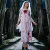 Long Sleeve Lace Dress with Blood Stain Print and for Adult Scary Party Cosplay Halloween Costumes Bride Outfit for Women Halloween Costumes