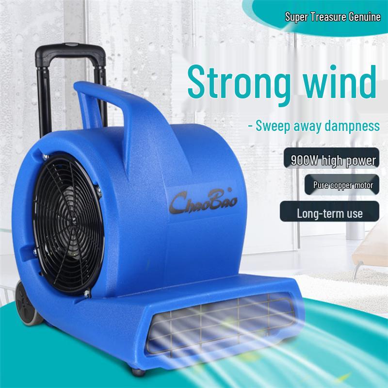Commercial Floor Dryer Blower