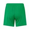 Castore Womens/Ladies 2022 Ireland Elasticated Football Shorts